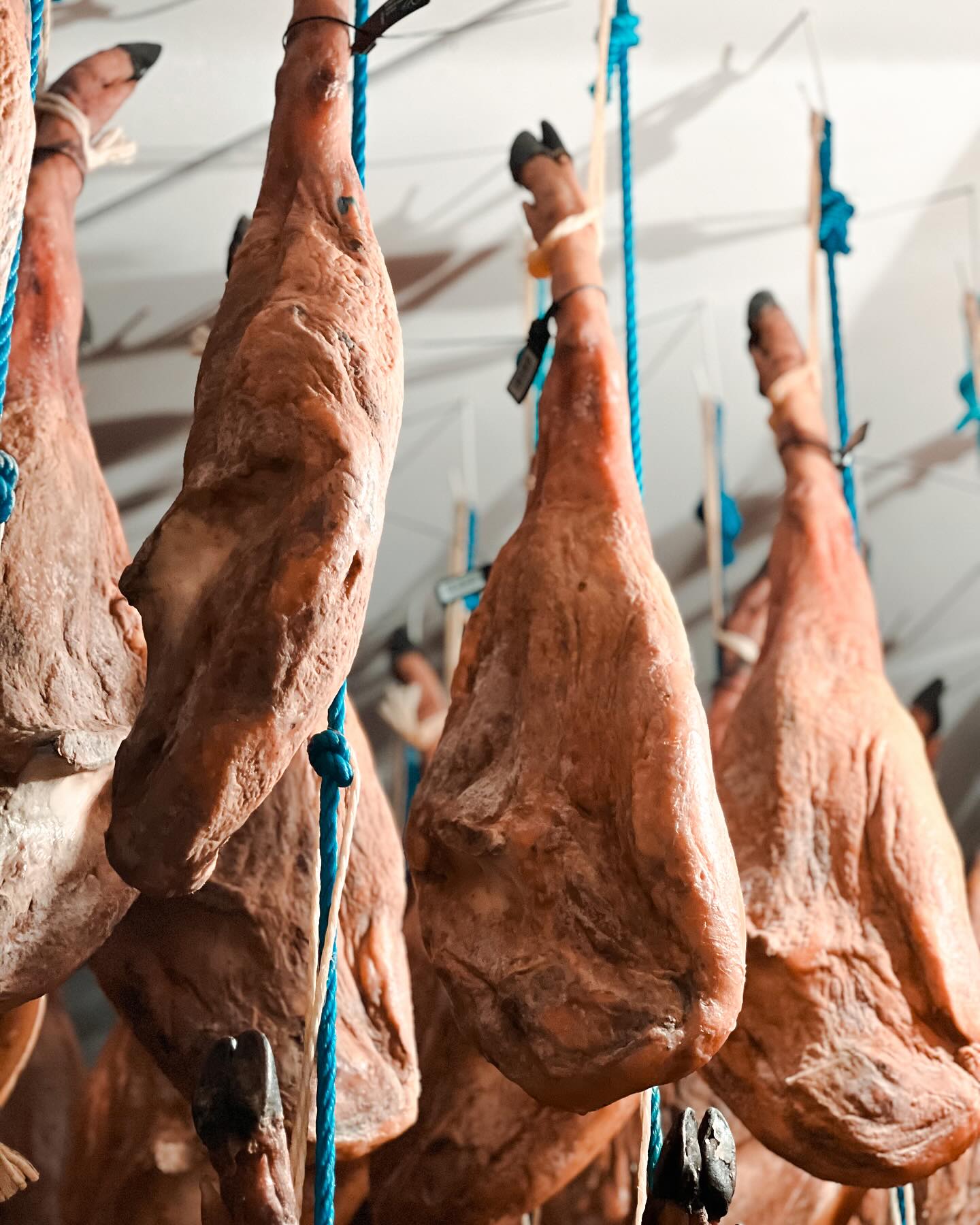 434393155_17905319516948812_7746489605600976084_n