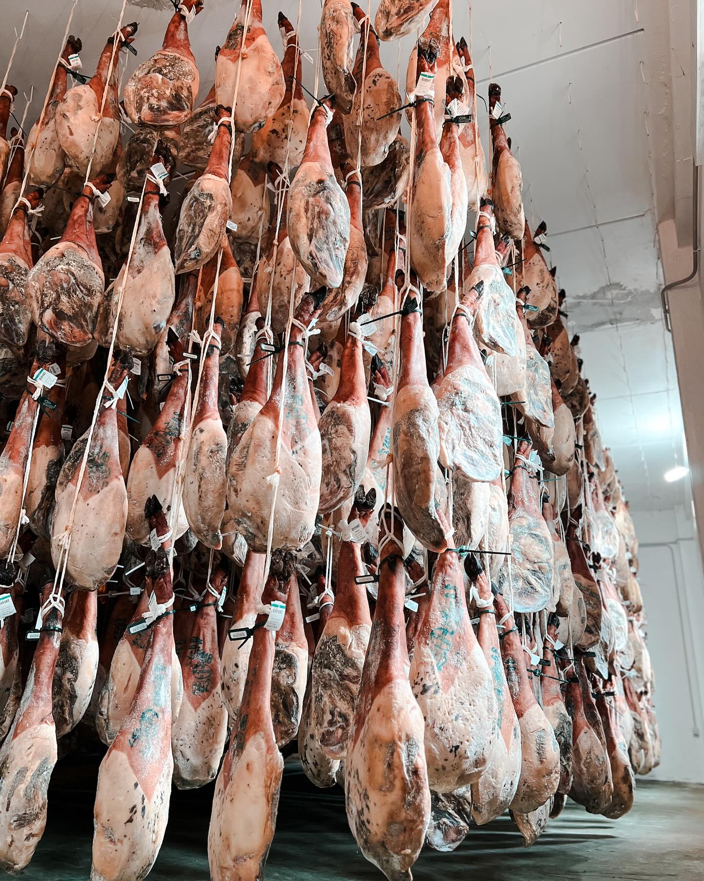 434396537_17905319507948812_1547774329671649236_n